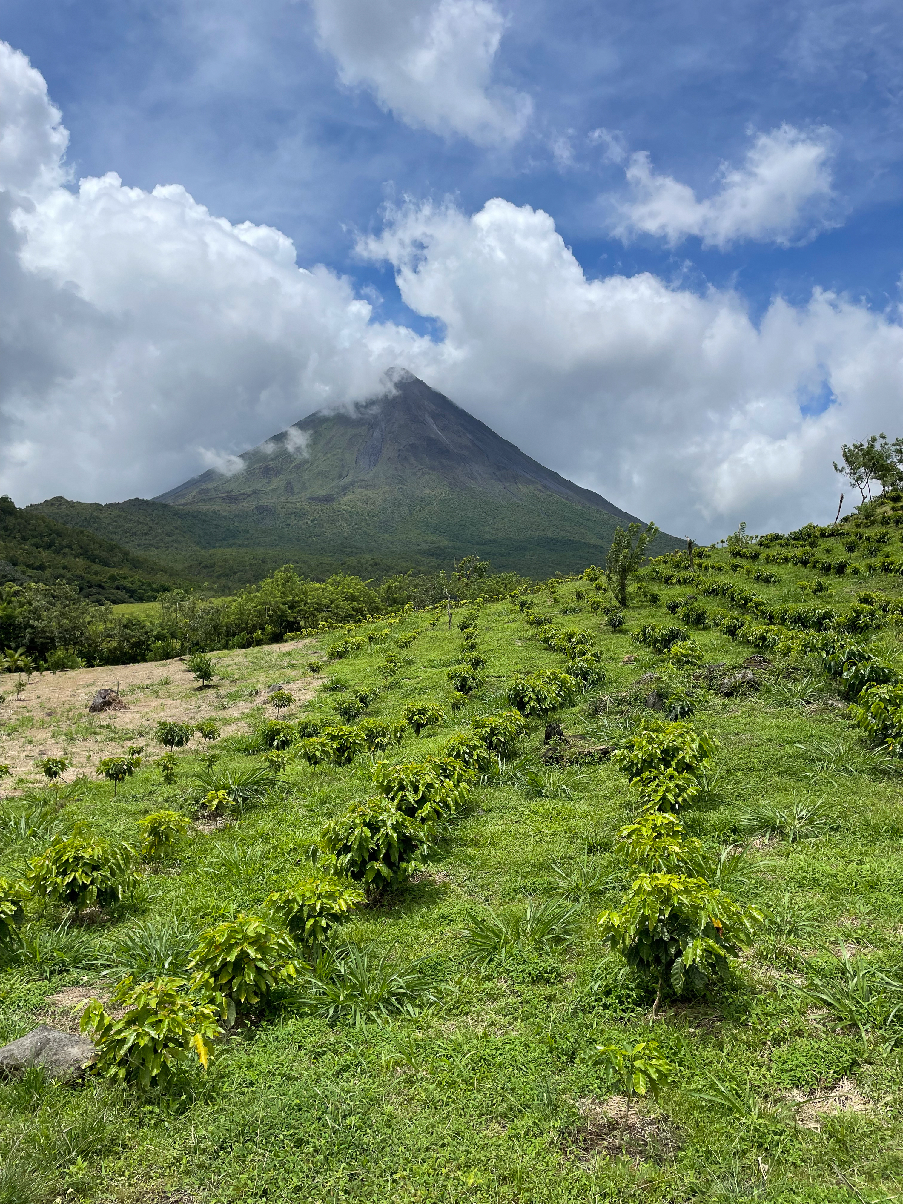 view from our hike